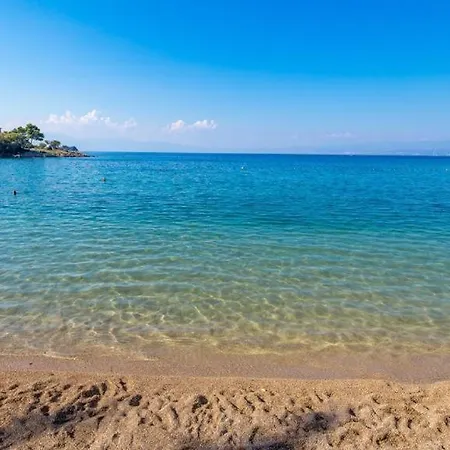 Mint & Gold Luxury アパート *